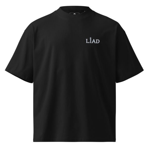 Liad Embroidered Style C - Unisex organic oversized high neck t-shirt
