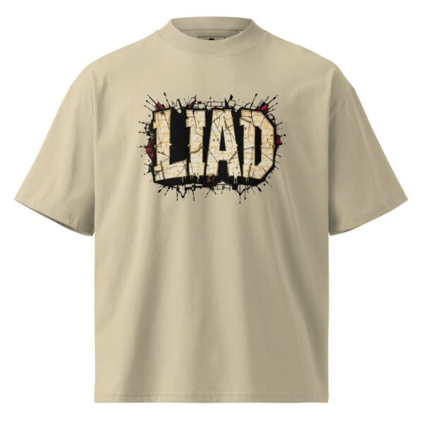 Liad Graffiti C- Unisex organic oversized high neck t-shirt