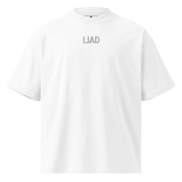 Liad Embroidered Style A - Unisex organic oversized high neck t-shirt