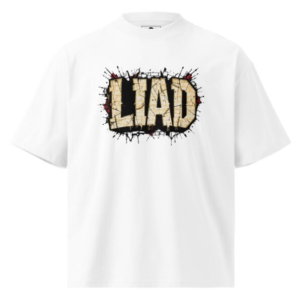 Liad Graffiti C- Unisex organic oversized high neck t-shirt